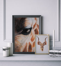 Dudu Kudu