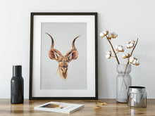 Dudu Kudu