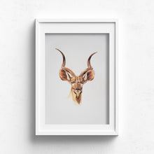 Dudu Kudu