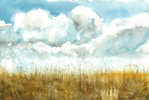 Field of Clouds - Claire Gunn