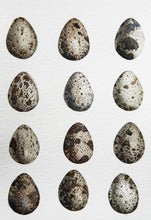 Botanical quail eggs