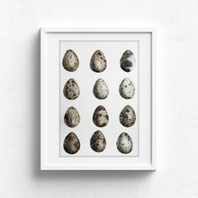 Botanical quail eggs