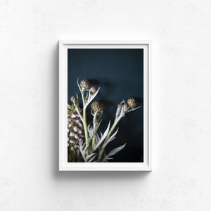 Artichoke Blossoms - Claire Gunn